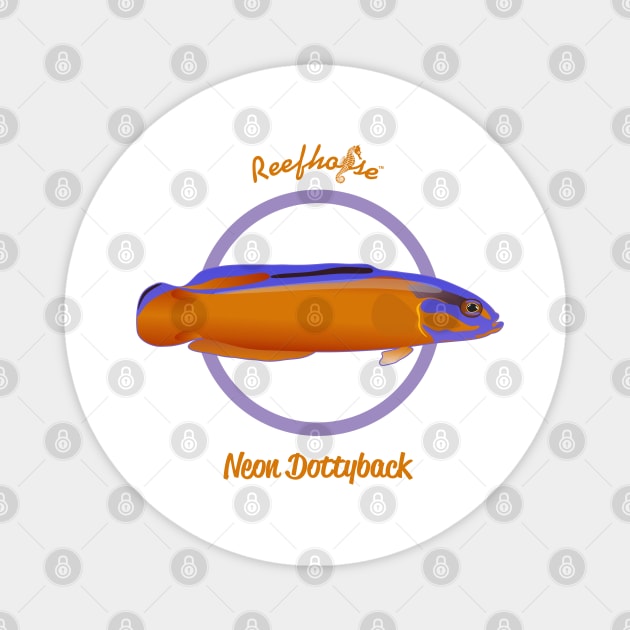 Neon Dottyback Magnet by Reefhorse